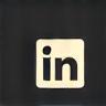 LinkedIn icon