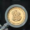 Visualization of expertise badge